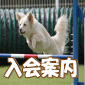 入会案内